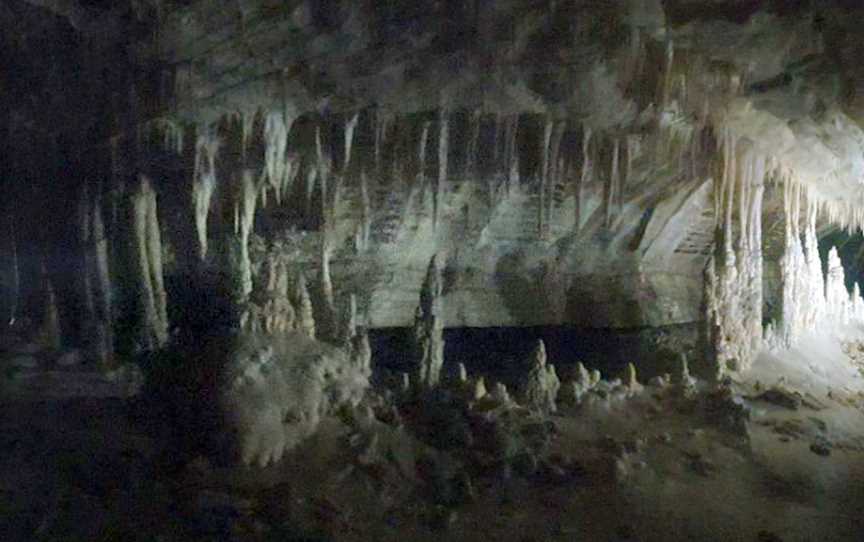 The Charleston Glowworm Cave Tour, Charleston, New Zealand