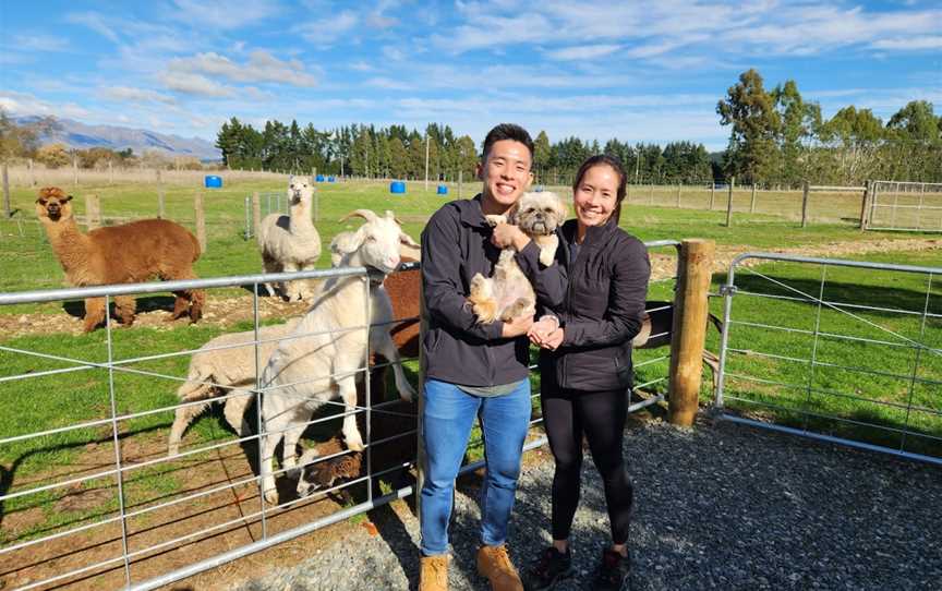 The Shed Farm, Te Anau, New Zealand