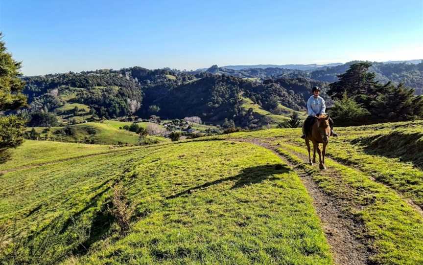 Ti Tree Hills Horse Treks, Waiwera, New Zealand