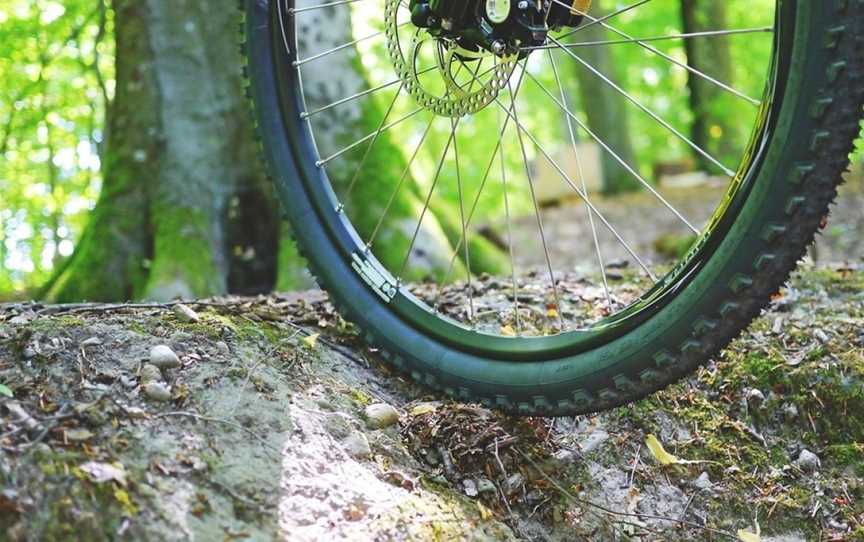 Timber Trail Shuttle & Bike Hire, Ongarue, New Zealand