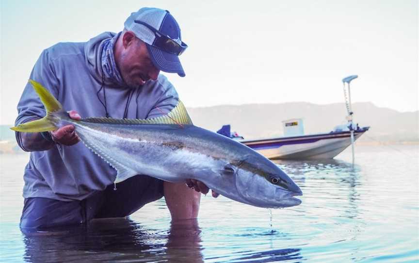 Trippin on Trout, Wharewaka, New Zealand