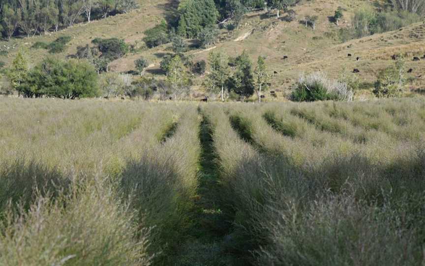 Waikura Joint Stations, Awakaponga, New Zealand