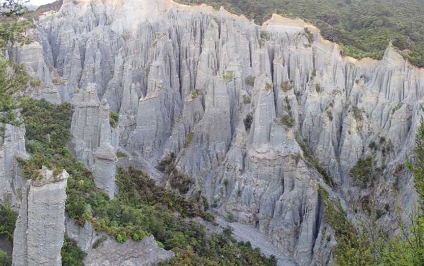 Wellington Bubble Tours, Wellington Movie Tours, Te Aro, New Zealand