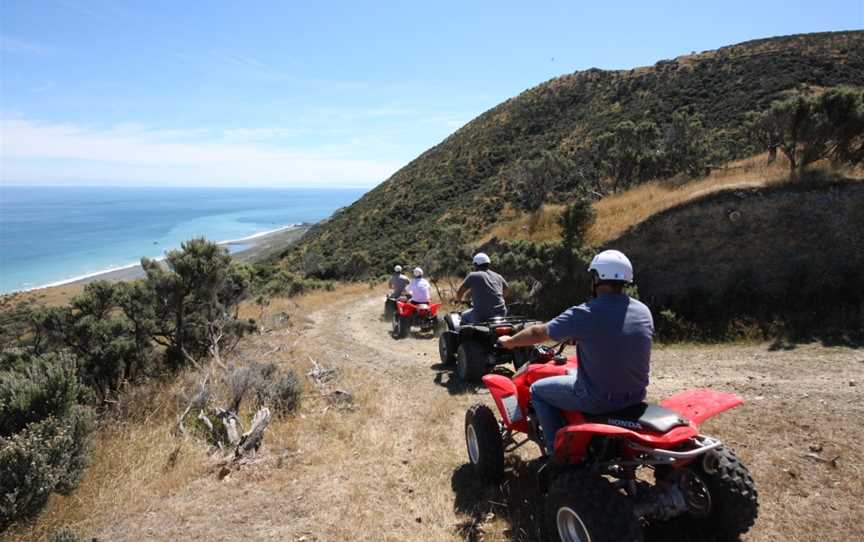 Wellington Adventures, Blue Mountains, New Zealand