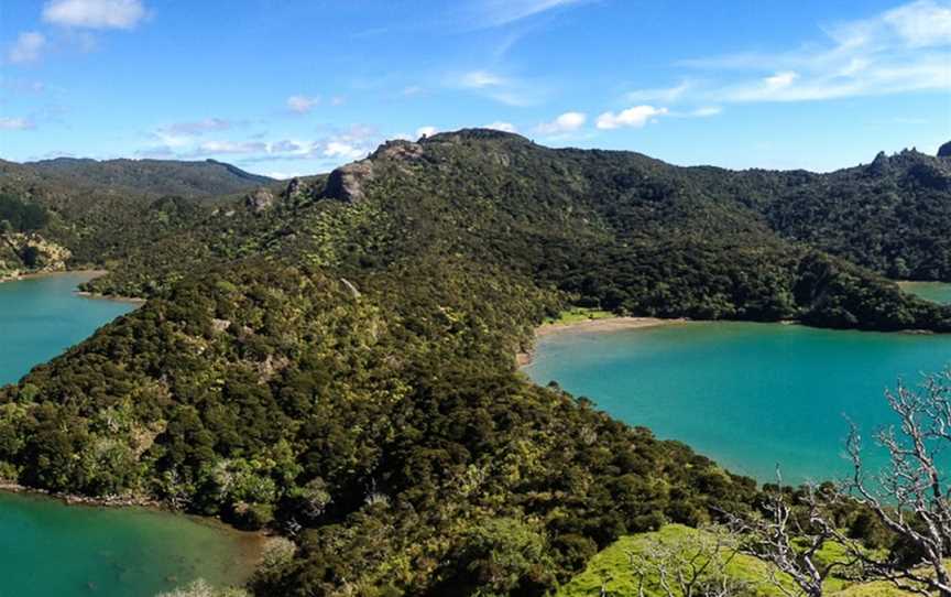 Whangaroa Harbour Adventures, Whangaroa, New Zealand