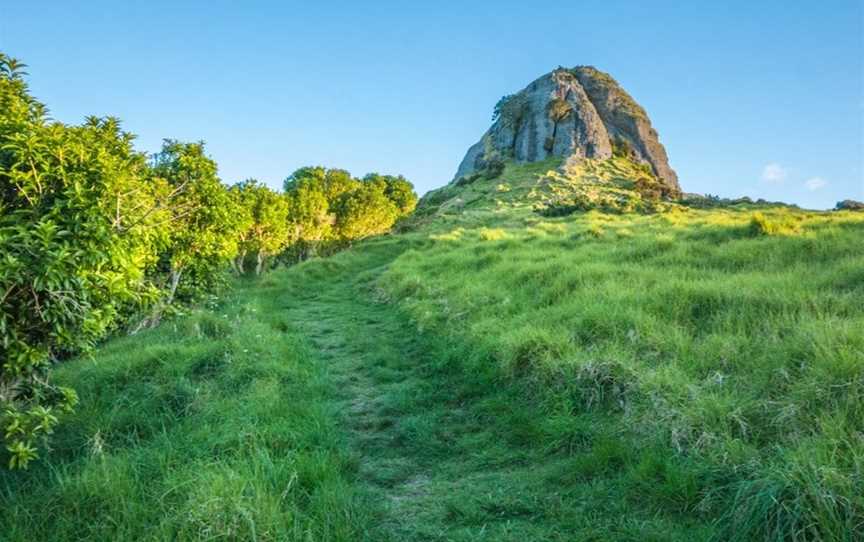 Whangaroa Harbour Adventures, Whangaroa, New Zealand