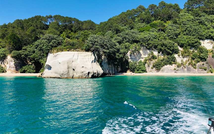 Whitianga Charters, Cooks Beach, New Zealand