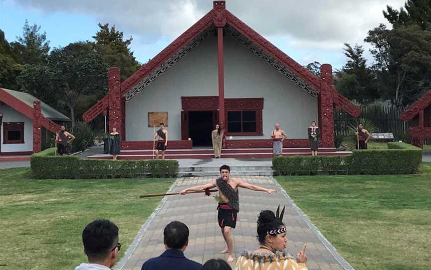 Wicked Wanders Guided Tours, Tauranga, New Zealand