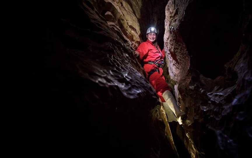 Waitomo Glowworm Caves, Hangatiki, New Zealand