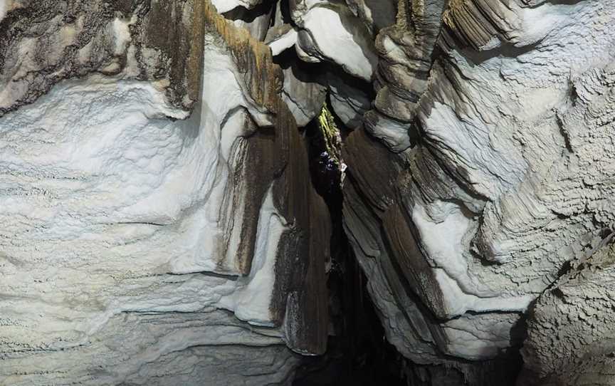 Oparara Kahurangi National Park Guided Tours, Karamea, New Zealand