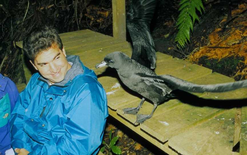 Petrel Colony Tours, Aickens, New Zealand