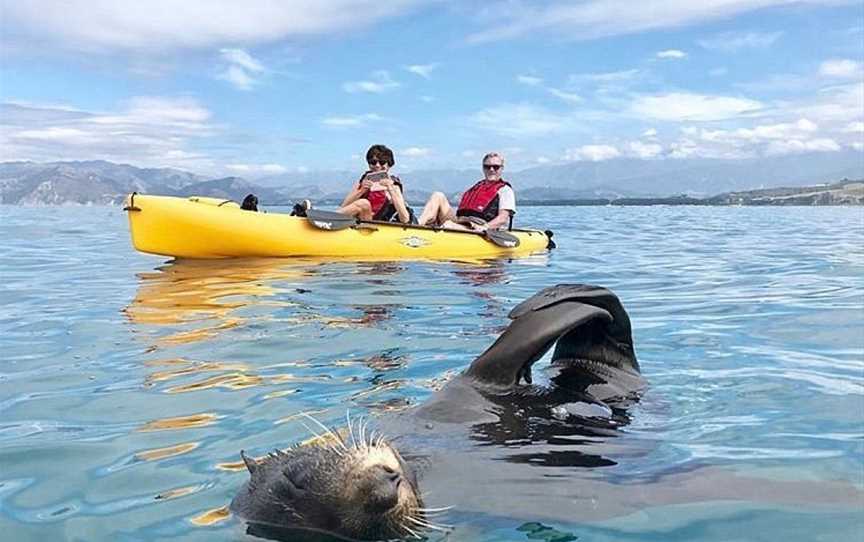 Seal Kayak Kaikoura, Kaikoura, New Zealand