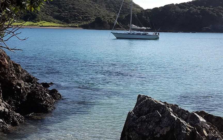 She's a Lady Sailing Adventures, Bay of Islands, New Zealand