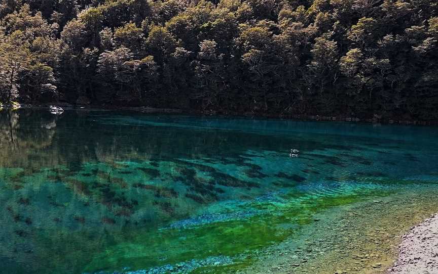 Southern Wilderness, Nelson, New Zealand