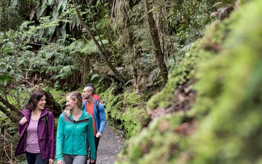 Lake Matheson Walk, Fox Glacier, New Zealand