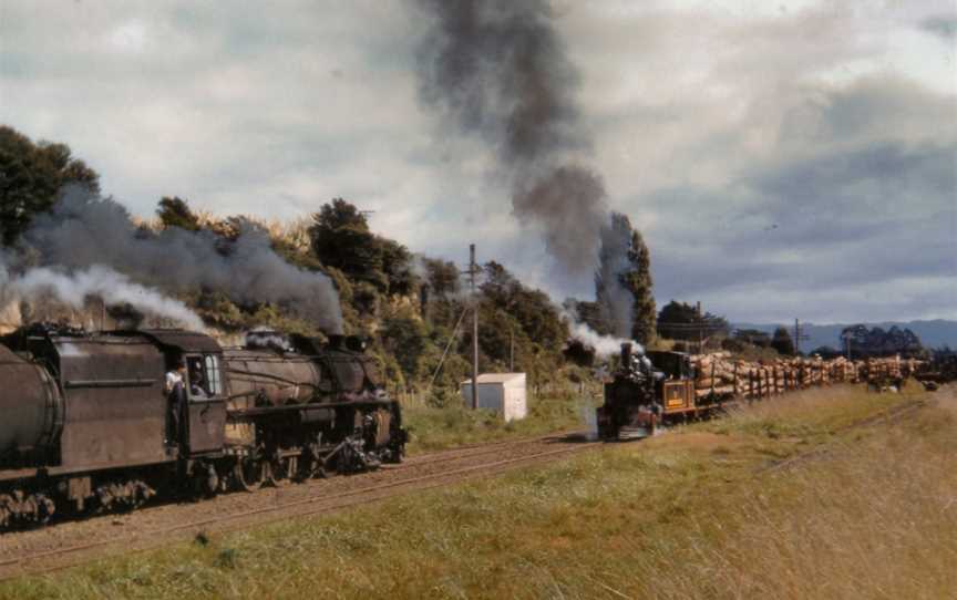 Awakeri Rail Adventures, Awakeri, New Zealand