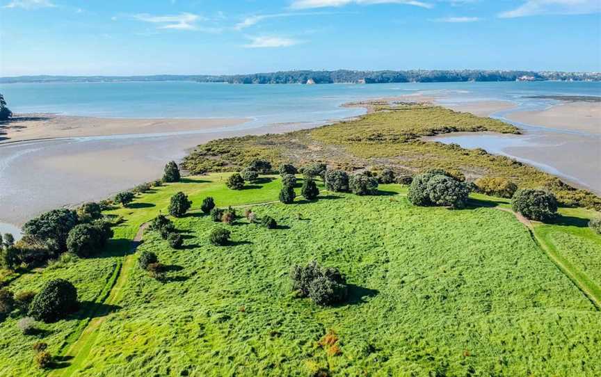 Meola Reef, Tours in Auckland