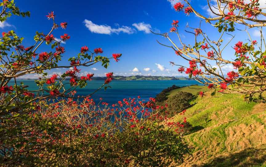 Duder Regional Park walking tours, Tours in Auckland