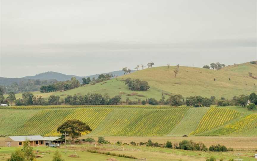 yarra valley wine region