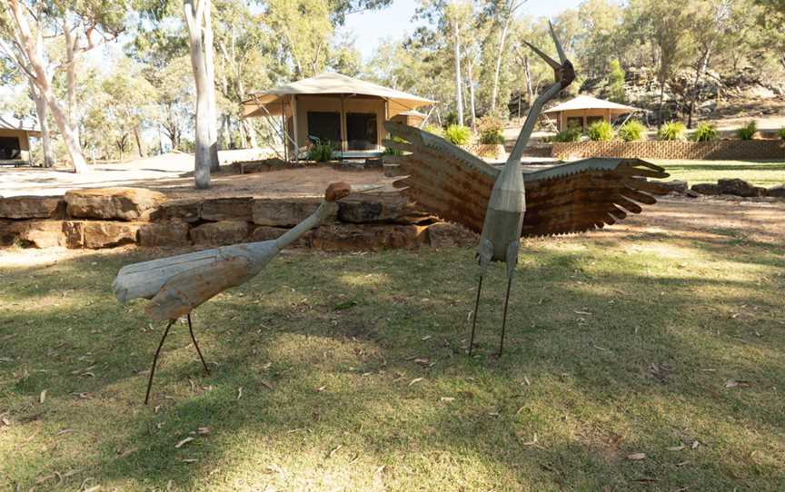 Glamping tents at Wallaroo Station