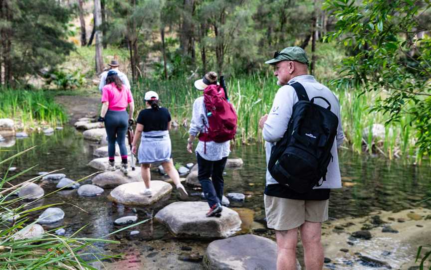 Carnarvon Gorge Nature Walk creek crossing.