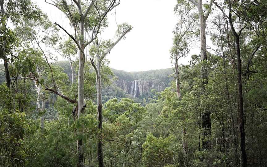 Minyon Falls view across the valley