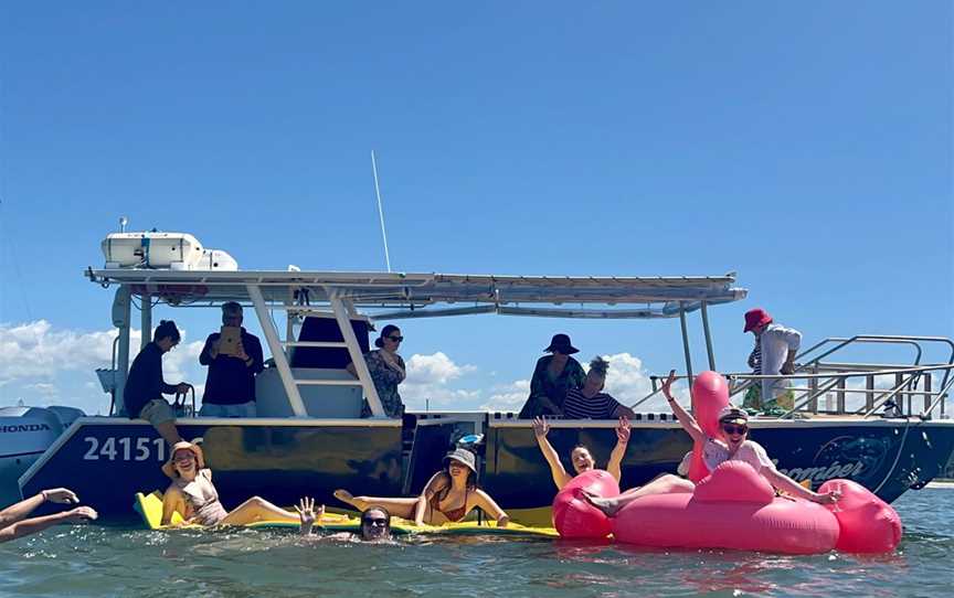 Beachcomber Charters Gold Coast Snorkel and Sightseeing Tours, Tours in Runaway Bay