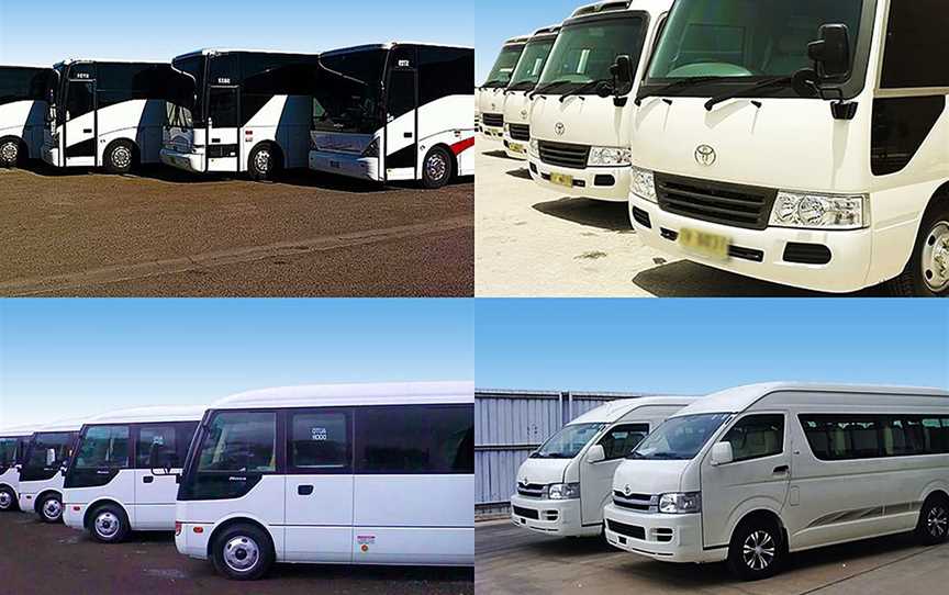 Sydney Bus & Coach Hire, Tours in Homebush