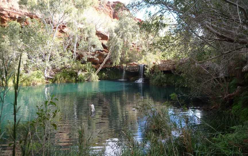 Karijini NP Fern Pool