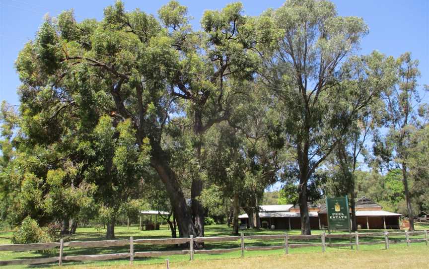 Peel Estate Wines, Karnup, November 2019 01.jpg