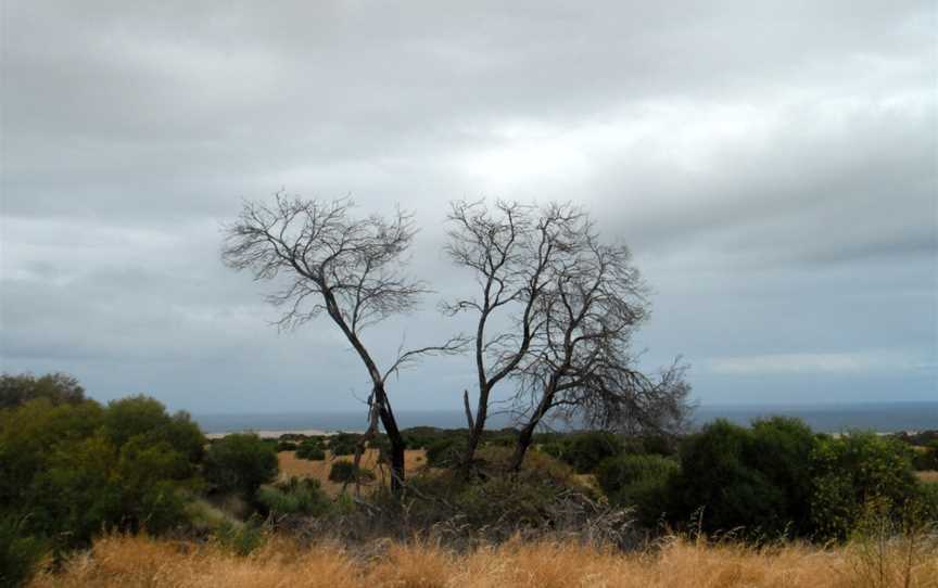 Bushin Western Australia