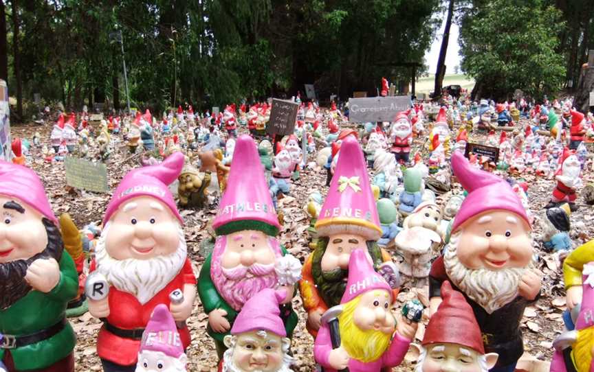 The Gnomesof Gnome Ville