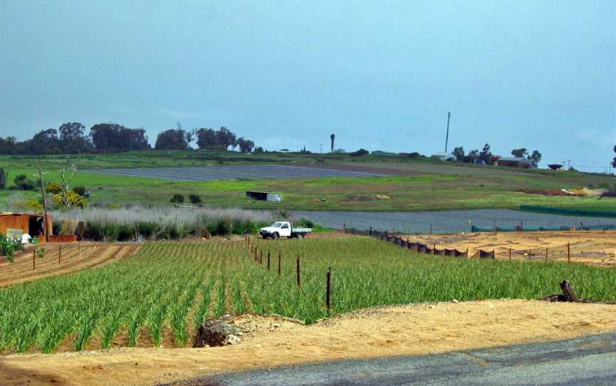 Agricultural land on Wattle Avenue - Neerabup