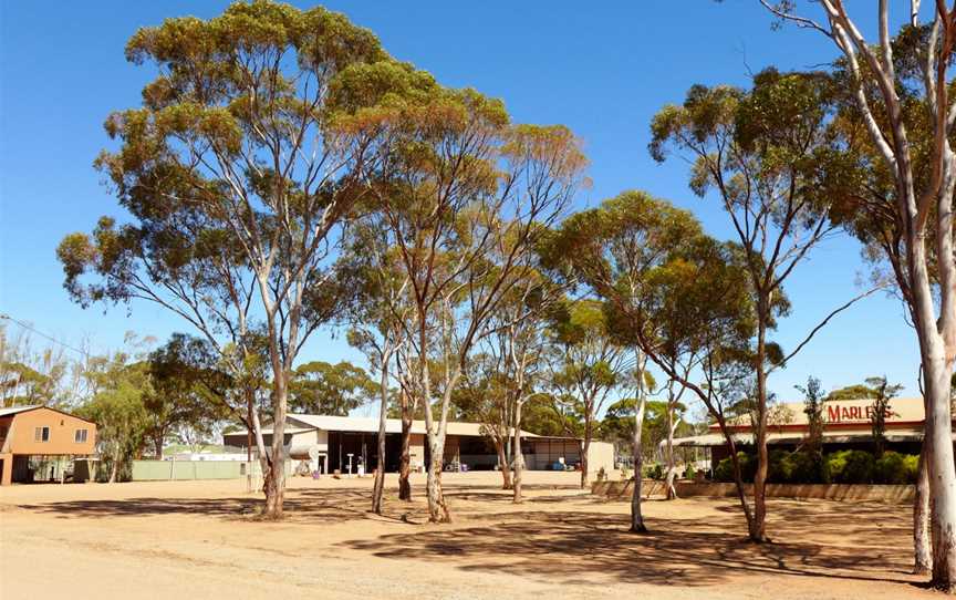 Marleys Transport depot, Nangeenan, 2014.JPG