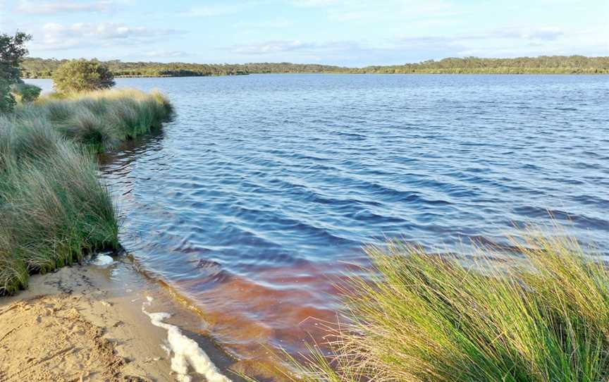 The Basin, Molloy Island, 2015 (01).JPG