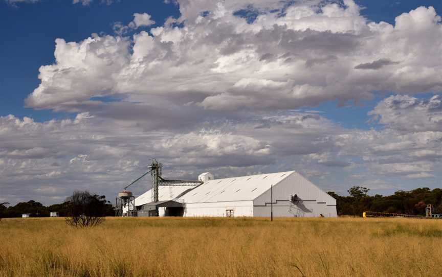 Yoting grain receival point, 2018 (01).jpg