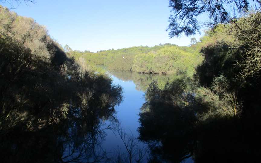 The Spectacles Wetlands, July 2019 04.jpg