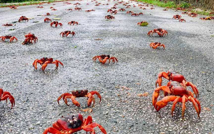 Christmas Island, Towns & Destinations in Christmas Island