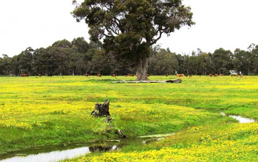 Abba River, Towns & Destinations in Abba River