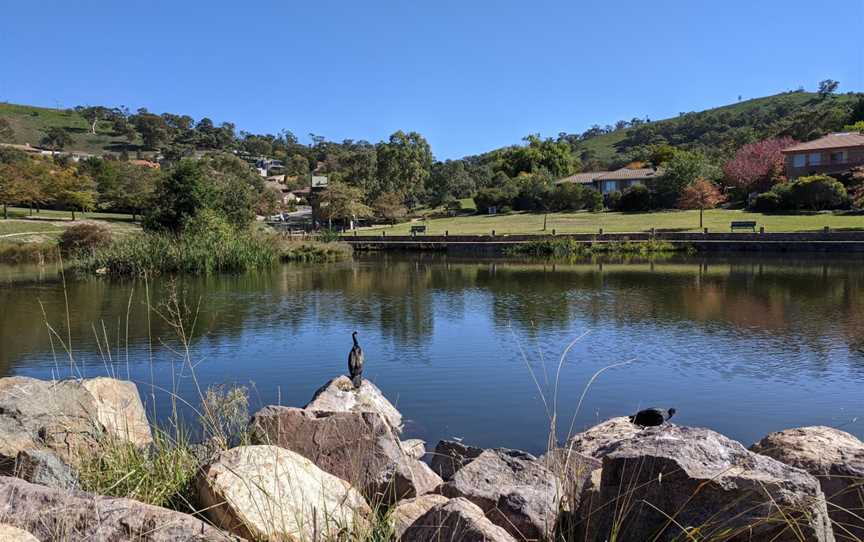 Fadden Hills Pond April 2020.jpg