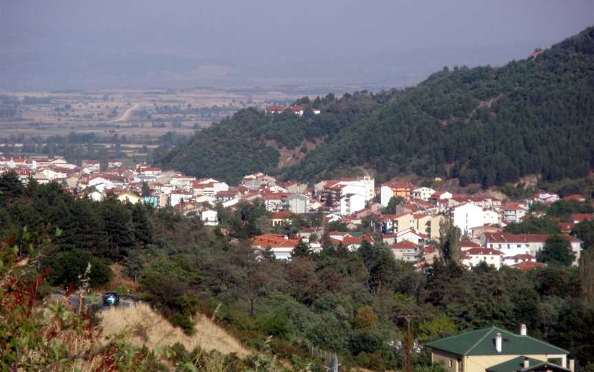 Florina(city) CFlorinaprefecture CGreece Fromthe Northwest( National Road2to Vigla)02