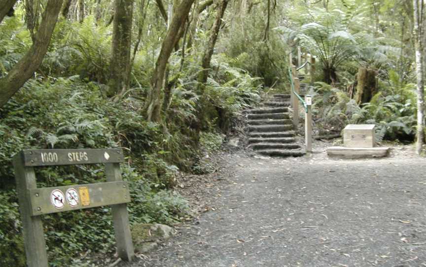 Monts dandenong, Victoria, Australie.jpg