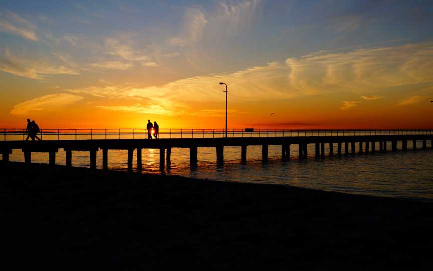 Rosebud CAustralia( Unsplash)