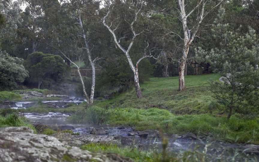 Merri Creek Coburg April 2021.jpg