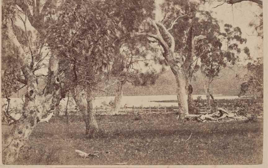 Harcourt Reservoir.Mount Alexander78 Miles N.N.W.from Melbourne