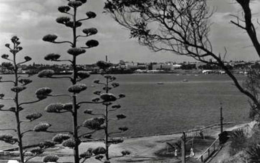 Rippleside geelong waterfront.jpg