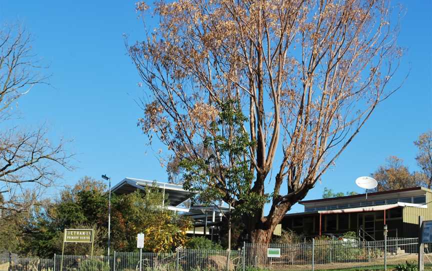 Bethanga Primary School