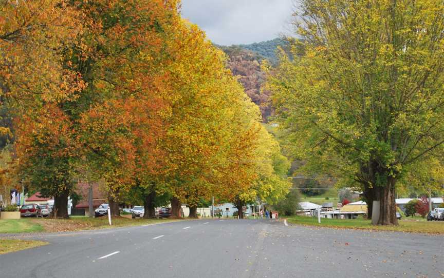 Eskdale Main Street002