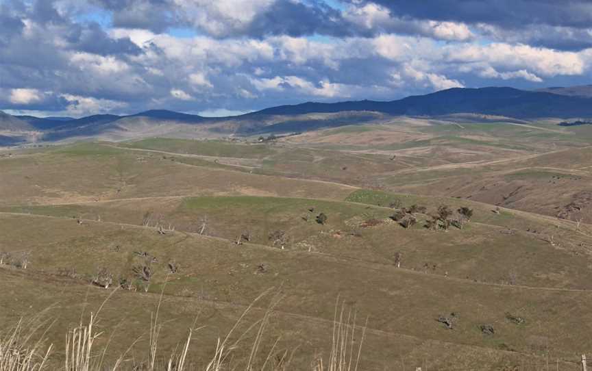 Benambra& Omeo Plainsfrom Mt Blowhard