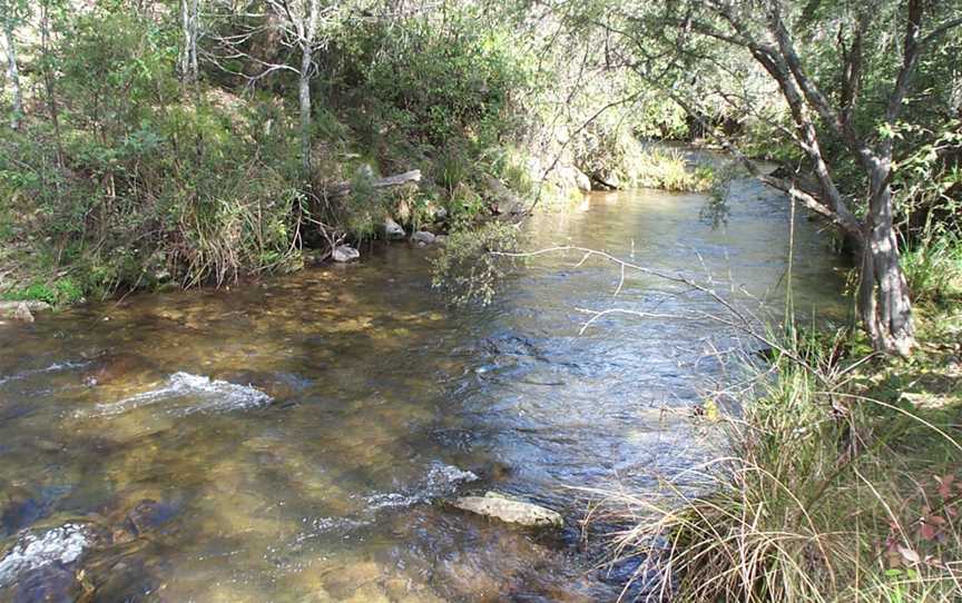 Buckland River, Victoria.jpg